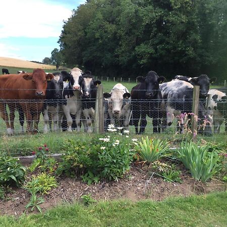 Retreat At The Knowe Auchincruive Estate Bed & Breakfast Ayr Bagian luar foto