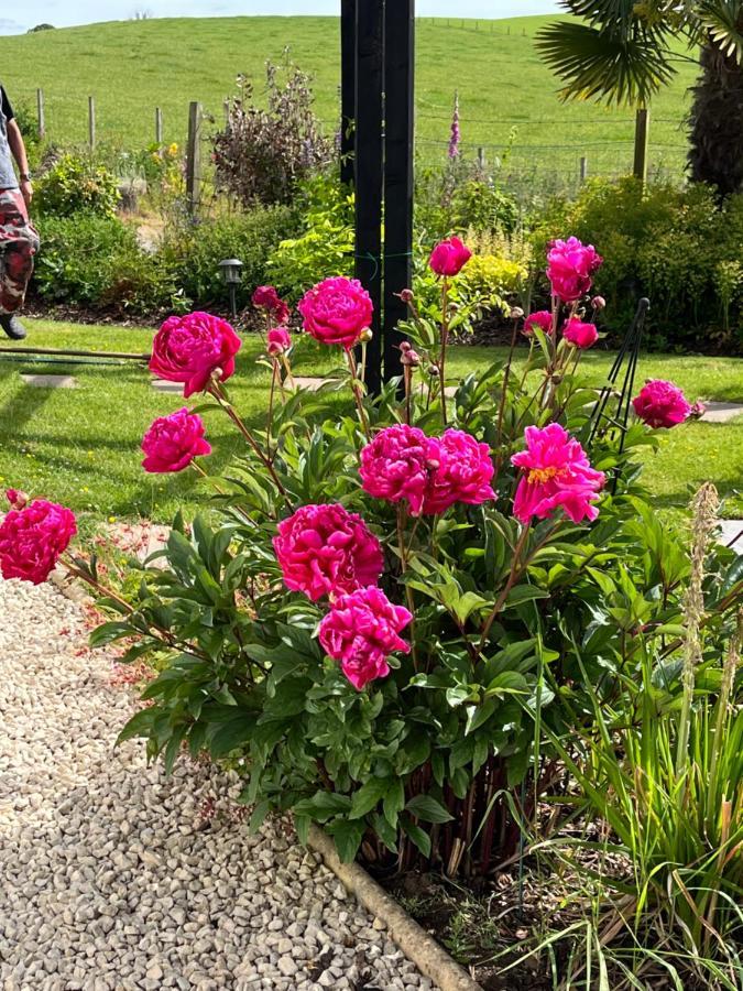 Retreat At The Knowe Auchincruive Estate Bed & Breakfast Ayr Bagian luar foto