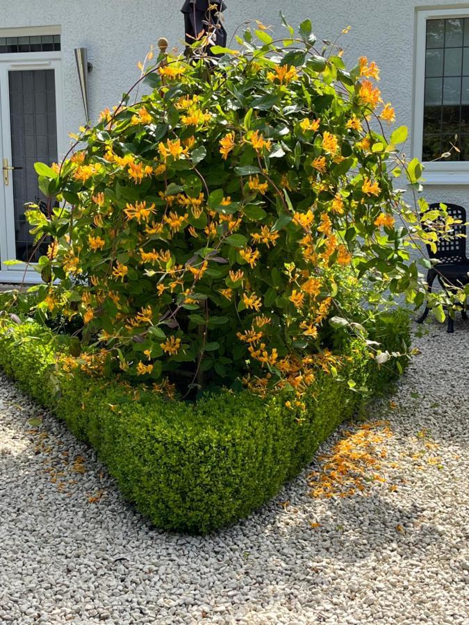 Retreat At The Knowe Auchincruive Estate Bed & Breakfast Ayr Bagian luar foto