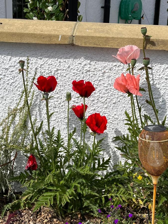 Retreat At The Knowe Auchincruive Estate Bed & Breakfast Ayr Bagian luar foto