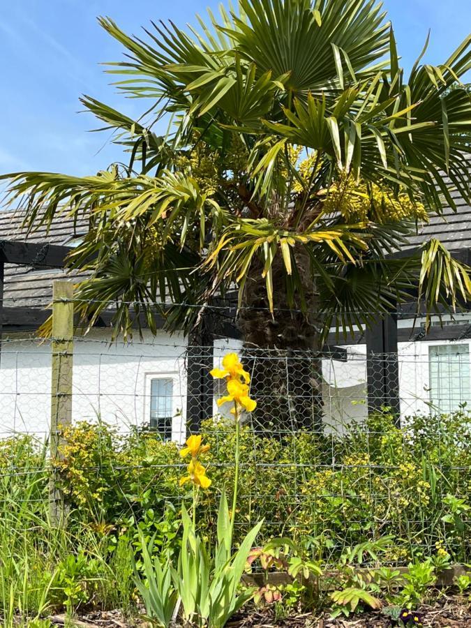 Retreat At The Knowe Auchincruive Estate Bed & Breakfast Ayr Bagian luar foto
