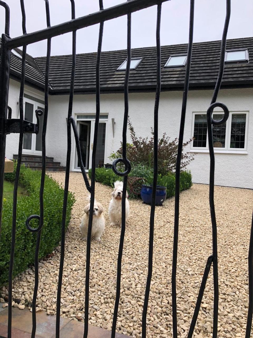 Retreat At The Knowe Auchincruive Estate Bed & Breakfast Ayr Bagian luar foto