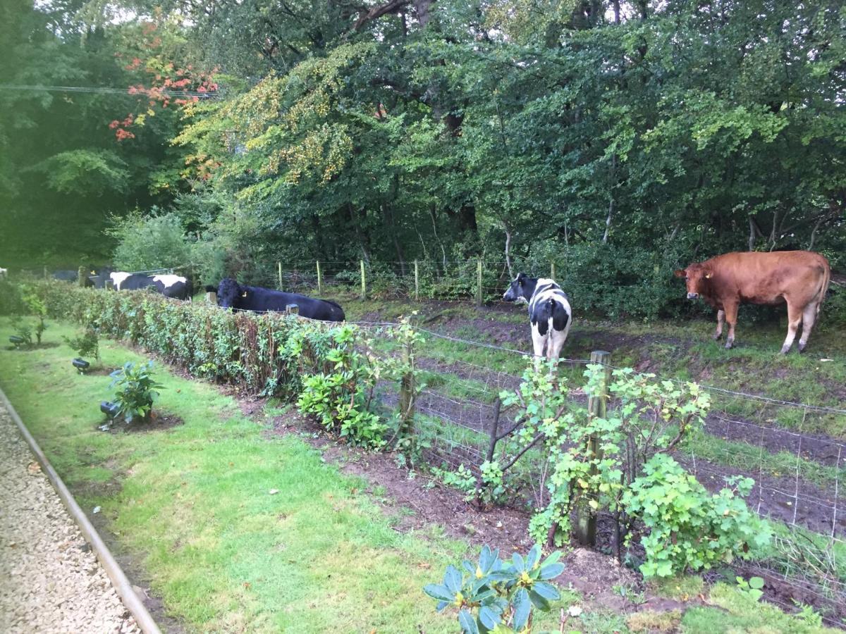 Retreat At The Knowe Auchincruive Estate Bed & Breakfast Ayr Bagian luar foto